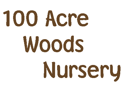 100 Acre Woods Nursery